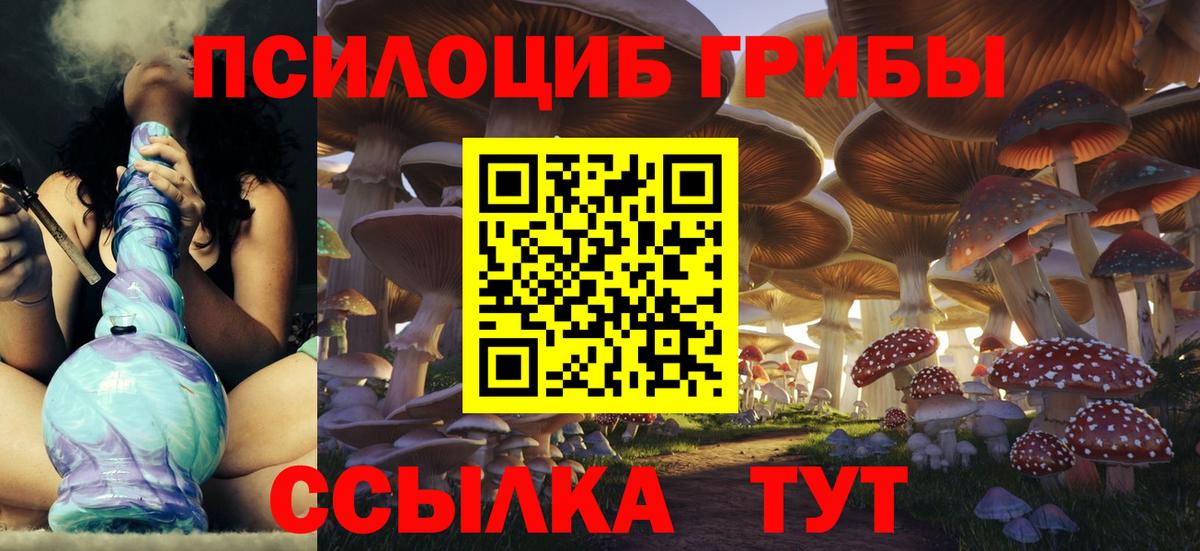 Псилоцибиновые грибы Psilocybine cubensis  Псилоцибиновые грибы MAGIC MUSHROOMS  Вход с VPN  Братск 